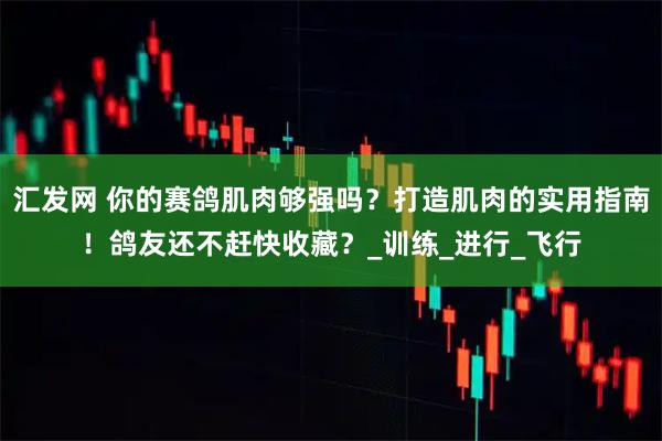 汇发网 你的赛鸽肌肉够强吗？打造肌肉的实用指南！鸽友还不赶快收藏？_训练_进行_飞行
