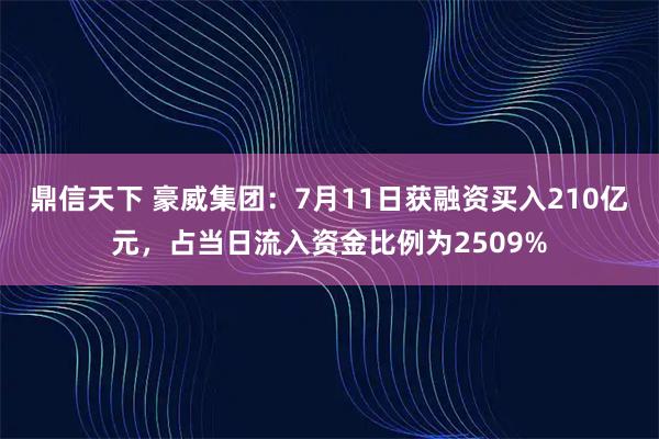 鼎信天下 豪威集团：7月11日获融资买入210亿元，占当日流入资金比例为2509%