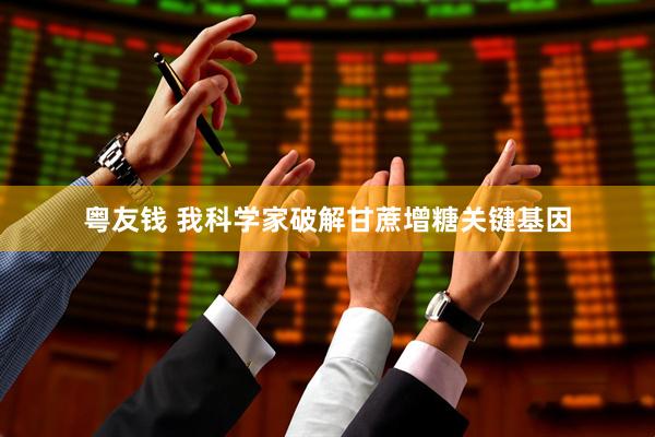 粤友钱 我科学家破解甘蔗增糖关键基因