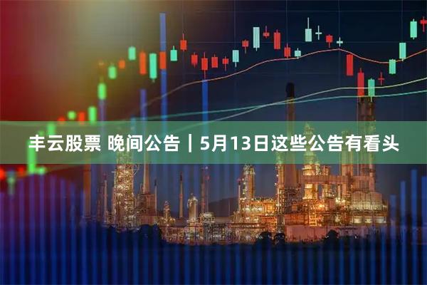 丰云股票 晚间公告｜5月13日这些公告有看头