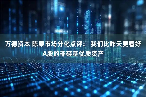 万德资本 陈果市场分化点评： 我们比昨天更看好A股的非硅基优质资产