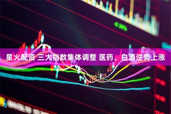 星火配资 三大指数集体调整 医药、白酒逆势上涨